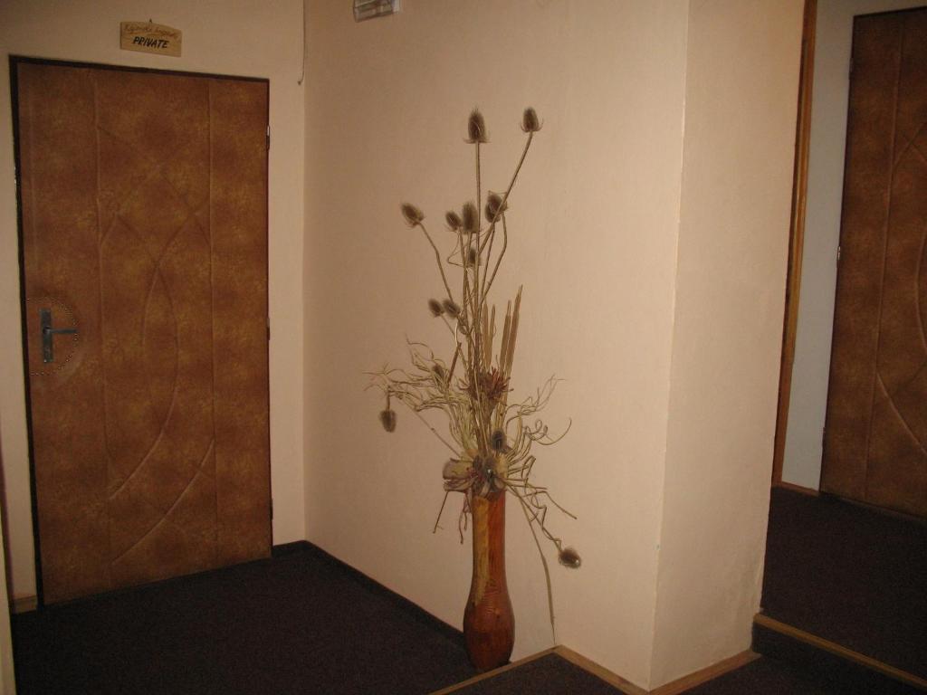 Kajovska Hospoda מראה חיצוני תמונה